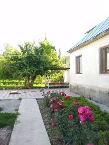 Фотографии Гостевой дом Shirin CBT Guest House г. Kazarman (Киргизия) №4 Фото Гостевой дом Shirin CBT Guest House г. Kazarman 4